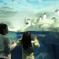 Ethan and Sarah at the Tennessee Aquarium in Chattanooga