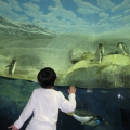Ethan at the Tennessee Aquarium in Chattanooga